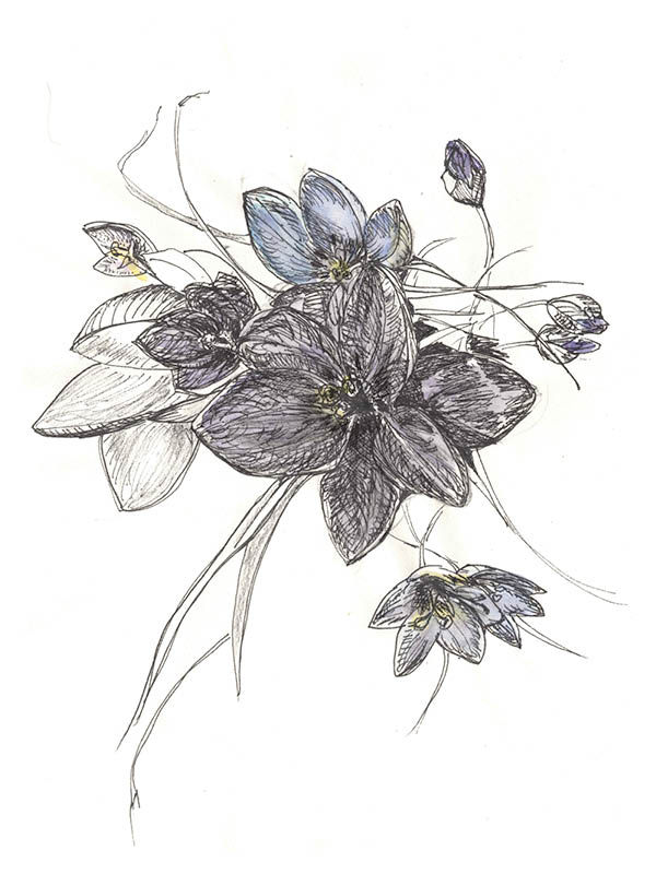 Floral II