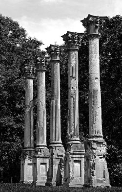 _DSC7582bw