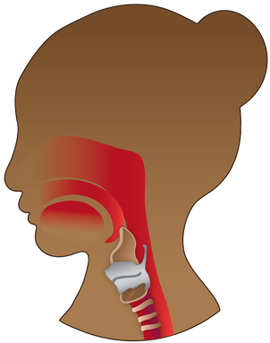 voice bust illustration-01.png