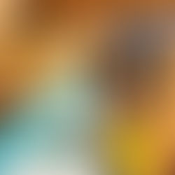 Salmon Arm OCP Engagement