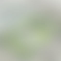 Britannia Renewal Engagement