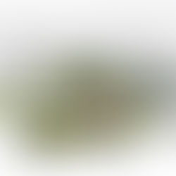 Valleyview South Master Plan