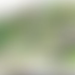 Mountain View Heritage Conservation Area