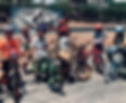 pedals playground paisley .jpeg