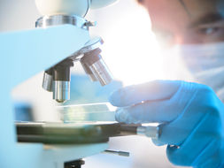 Università, stop al numero chiuso in medicina. Bernini: "Nei prossimi anni potremo formare almeno 30mila futuri nuovi medici"