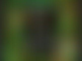 Navigating the 11-Plus Journey with Mindful Precision