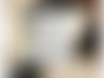 Discovering Reliable Allies: Identifying a Trusted 11-Plus Mock Exam Provider