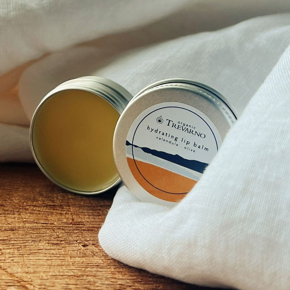 Organic hydrating lip balm tin 15ml, fragrance-free, handmade in Cornwall, nourishing lips