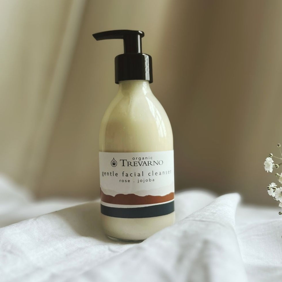 Organic Trevarno Gentle Facial Cleanser 100ml, handmade in Cornwall, vegan and cruelty-free, natural daily facial cleanser