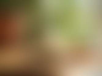 Explore Our Handmade Organic Skincare Range Today