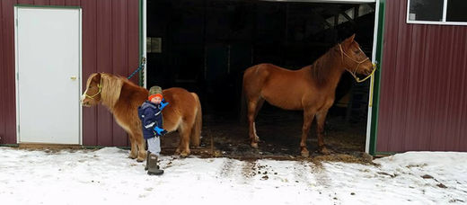 It's winter on the homestead