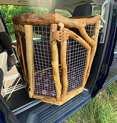 Hundetransportbox.JPG
