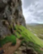 The Bone Caves