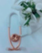 sfat medical cabinet pediatrie medic pediatru sighisoara dr alexandra latcu