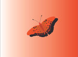Butterfly vector art copy.jpg