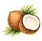 Coconut