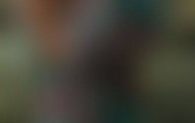 2017 Openings + Travel Schedule | Updated November 2017