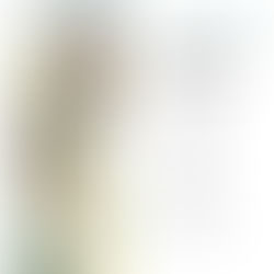 Summer Mini Sessions