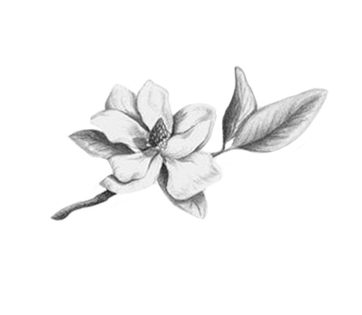 Introducing... Amarie Vela Lifestyle Portraiture | Michigan Lifestyle Photographer