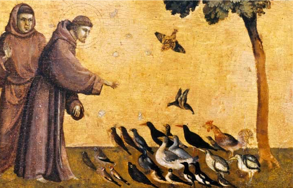 Giotto duccio essay 08 image