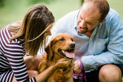Golden Retriever sitting in front of a kneeling man and woman on the grass in a city park.