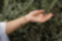 Hand-und-Lavendel.jpg