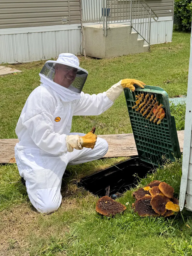 Bee and wasp removal in Miami, Sunshine Pest Control technician in a bee suit