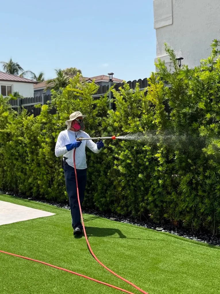 Lawn and ornamental pest control in Miami, technician treating a hedge