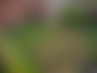 Discover Community Programs at St. James A.M.E. Church