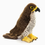 Thumbnail: Peregrine Falcon Stuffed Animal