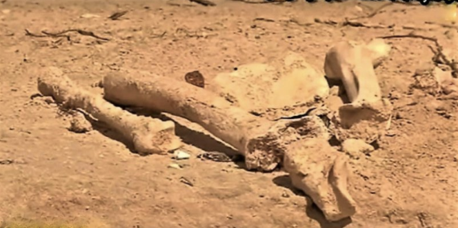 Remains uncovered at Raisins Clairs Beach. KAHM PIANKHY/CC BY 2.0