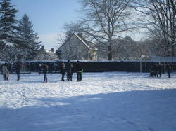 cfd2ed99c64c703784aa00ca2b0320d9c7834f63