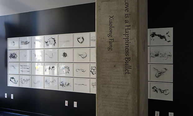 现场展览图 展览：2015年 方小龙美国个展“爱是一颗幸福的子弹”.JPG