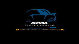 GESTORIA ALEMAN