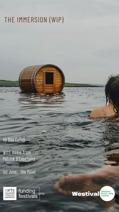 The Immersion poster