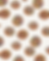 donut pattern