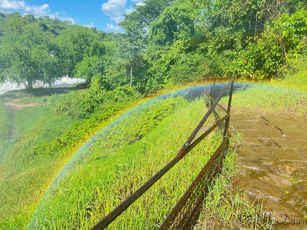 MurchisonFalls_TopOfFallsRainbow1