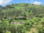 Bwindi_Neighborhood2
