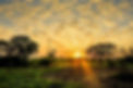 MurchisonFalls_Sunset