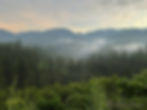 Bwindi_Dawn