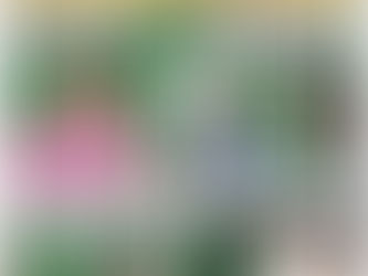 On quantum computing...