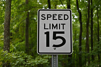 speed.jpg