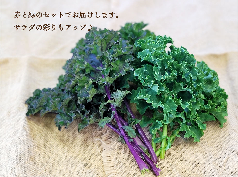 サムネイル： ケール(100g)