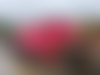 瑞爾國際物流完成英國費利克斯托港超重件開頂箱一站式拆箱派送