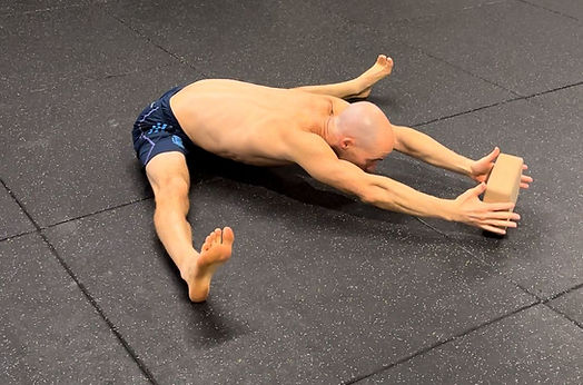 מנח הניקרה פנקייק המציג גמישות