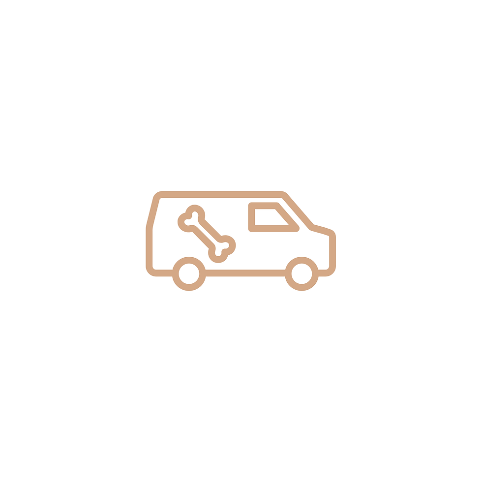 Northern Beaches Pet Taxi