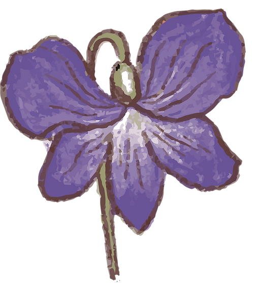 Birthkeeper Norwich Birthkeeper Norfolk Postpartum support Norwich Postpartum support Norfolk Herbalist Norfolk/ Norwich