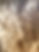 IMG_6926.jpeg