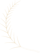 羽左.png