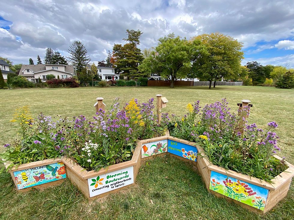 Taking care of the Spruce Park Pollinator Garden
